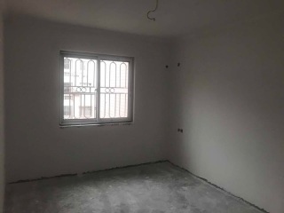 墙、顶面乳胶漆