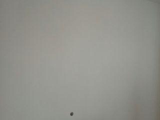 现场木制品造型施作