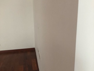 墙、顶面腻子批嵌