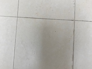 墙地砖铺设 验收
