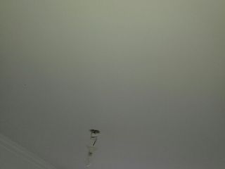 墙、顶面腻子批嵌