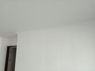 现场背景墙及隔墙施作
