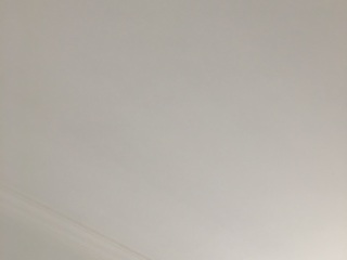 墙、顶面乳胶漆