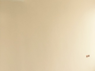 墙、顶面乳胶漆