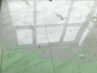 日常巡检