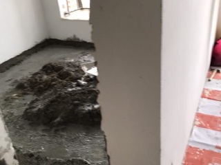 墙、顶面腻子批嵌