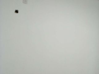 墙、顶面腻子批嵌