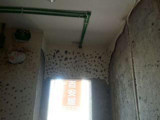 日常巡检
