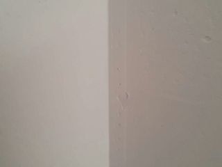 墙、顶面乳胶漆