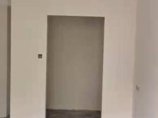 现场木制品造型施作