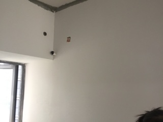 墙、顶面腻子批嵌