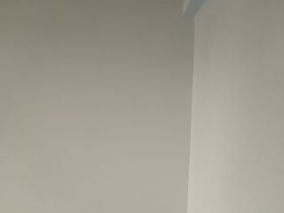 墙、顶面乳胶漆