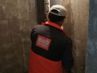 日常巡检