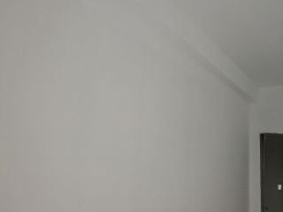 墙、顶面乳胶漆