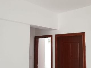 墙、顶面腻子批嵌