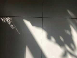 日常巡检