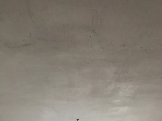 墙、顶面腻子批嵌