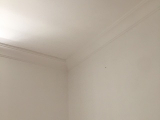 油漆工程 验收