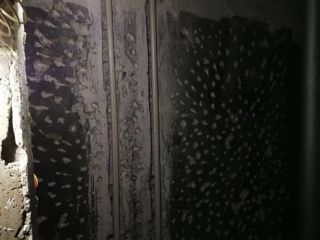 日常巡检