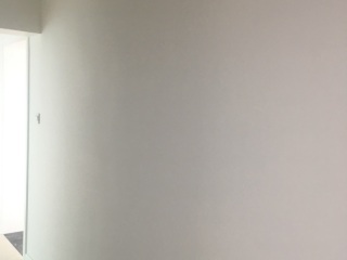 墙、顶面腻子批嵌