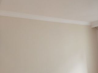 墙、顶面乳胶漆