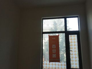 墙、顶面乳胶漆