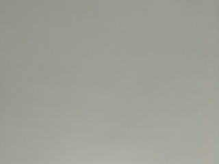 墙、顶面腻子批嵌