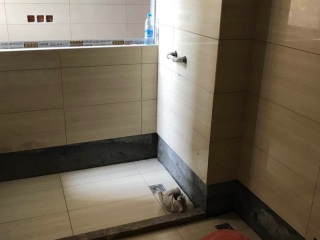 日常巡检