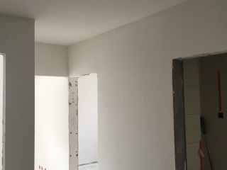 墙、顶面乳胶漆