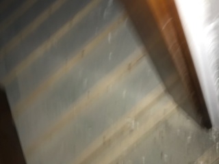成品门及墙纸铺贴