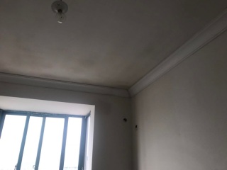 墙、顶面腻子批嵌