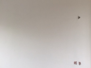 墙、顶面腻子批嵌