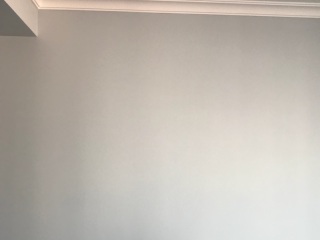 墙、顶面乳胶漆