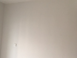 墙、顶面乳胶漆