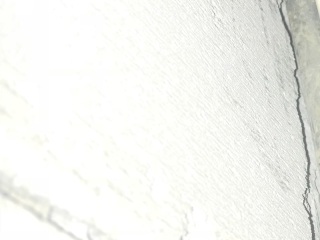 墙、顶面腻子批嵌