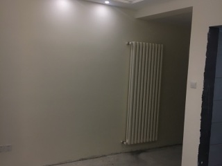 墙、顶面乳胶漆