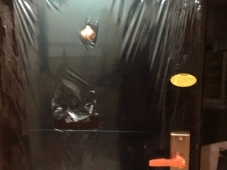 日常巡检
