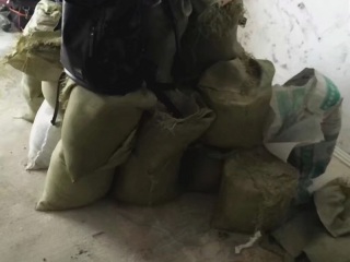 日常巡检