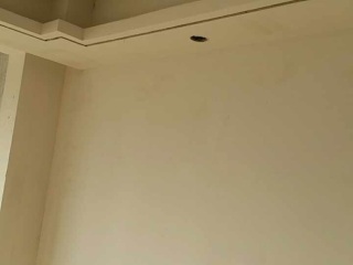 墙、顶面腻子批嵌