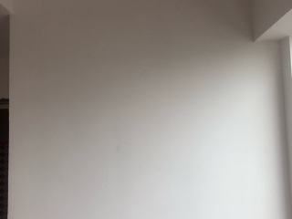 墙、顶面乳胶漆