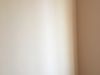 墙、顶面乳胶漆