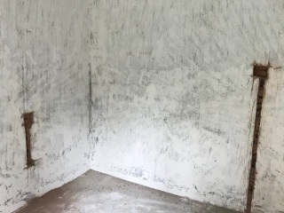 日常巡检