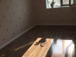 成品门及墙纸铺贴
