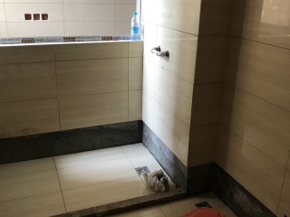 日常巡检