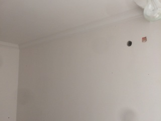 墙、顶面腻子批嵌