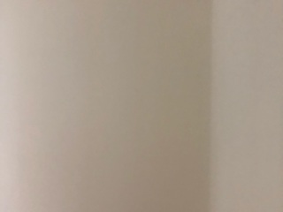 墙、顶面腻子批嵌