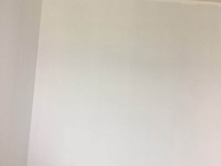 墙、顶面乳胶漆