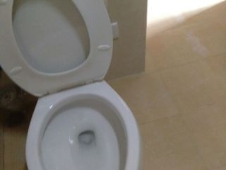 洁具、五金、电器安装