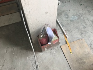 日常巡检