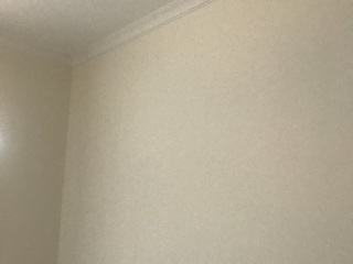 墙、顶面腻子批嵌
